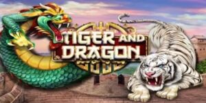 Dragon Tiger Tại TDTC